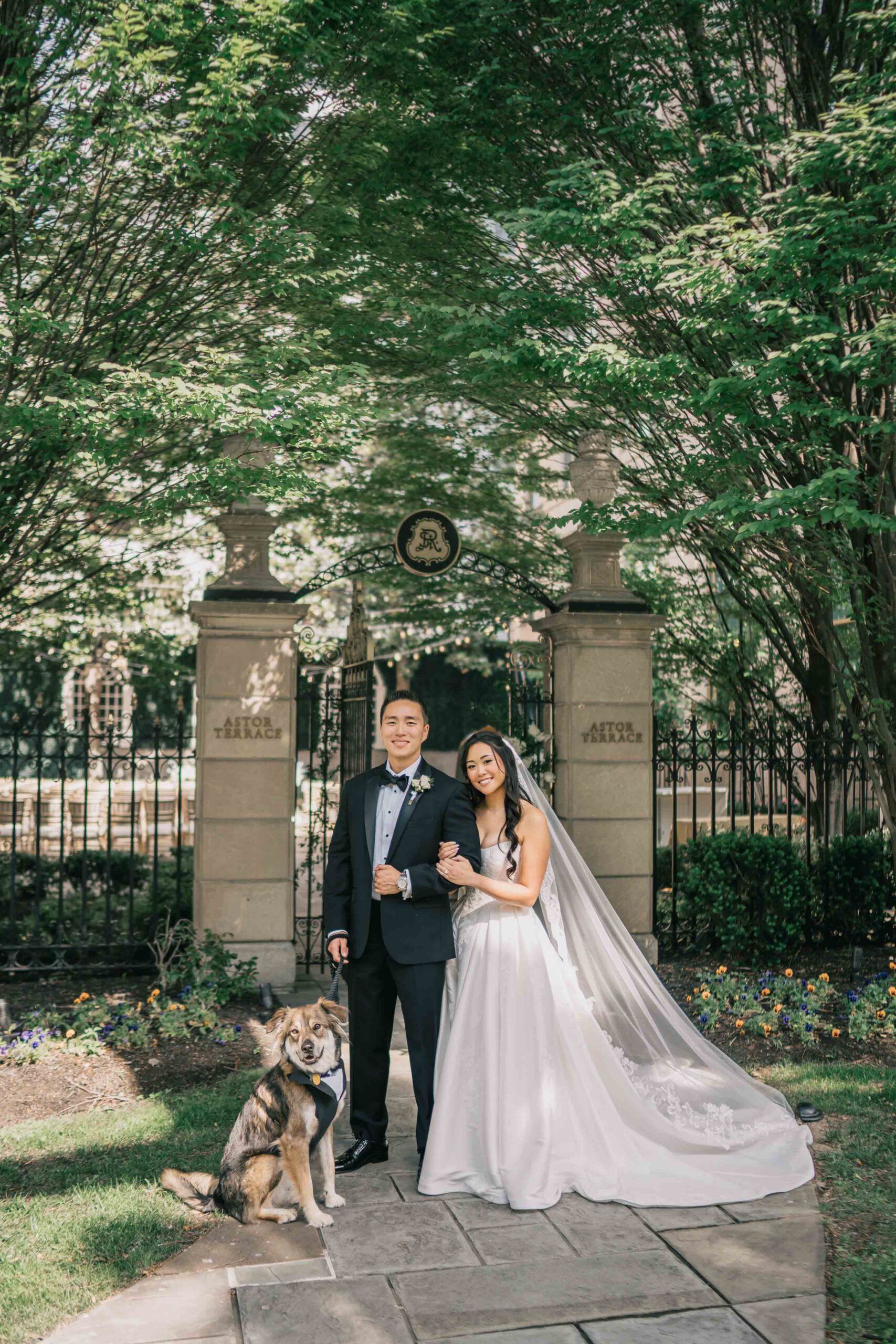 wedding couple and their dog at their Spring Wedding at The St. Regis Washington, DC